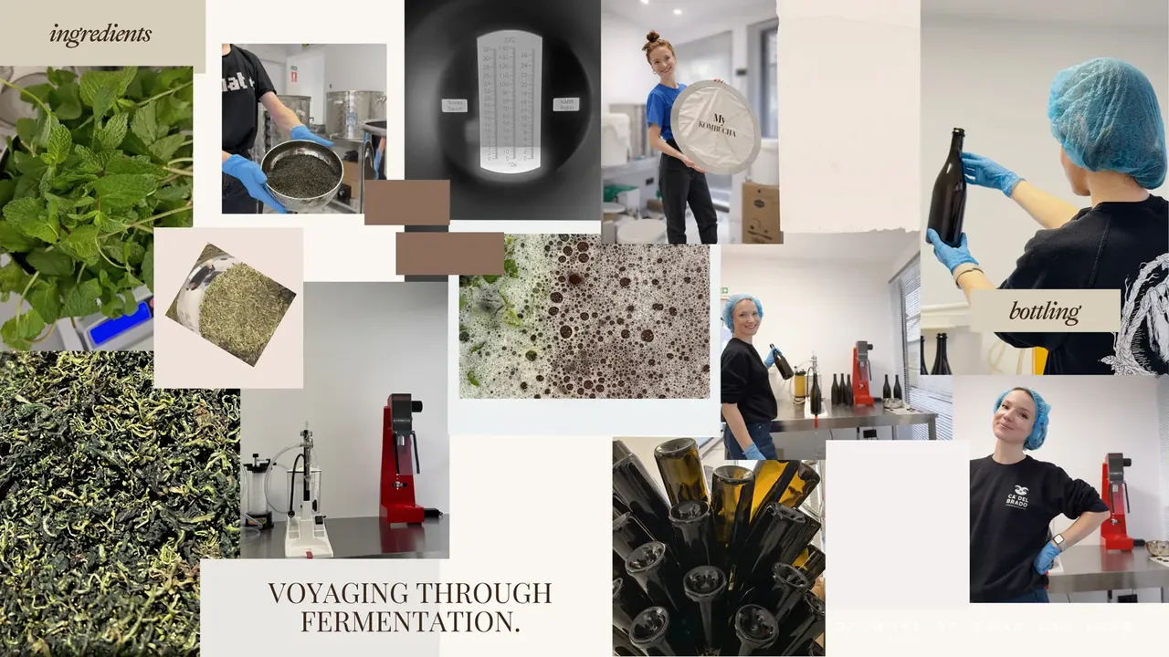 Colaj cu ingredientele kombucha, procesul de preparare și îmbutelierea manuală